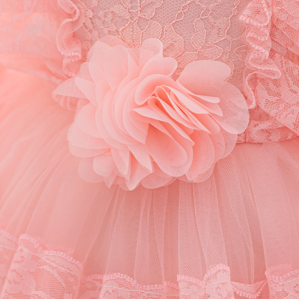 Evening  Party Flower Baby Girl Dress-Summer Performance Pink Dress